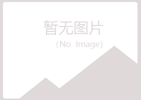 兰山区狼狈房地产有限公司